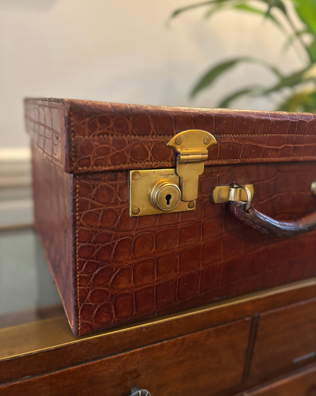 Brown crocodile skin suitcase with gold lock on a wooden surface