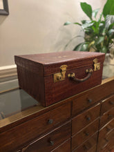 Vintage Crocodile case