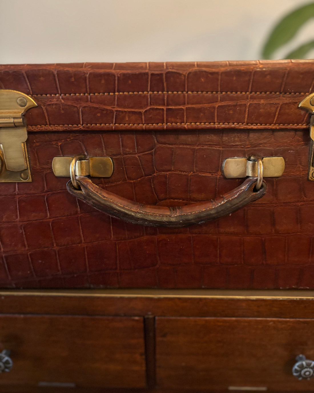 Brown crocodile-patterned suitcase with gold hardware on a wooden surface.