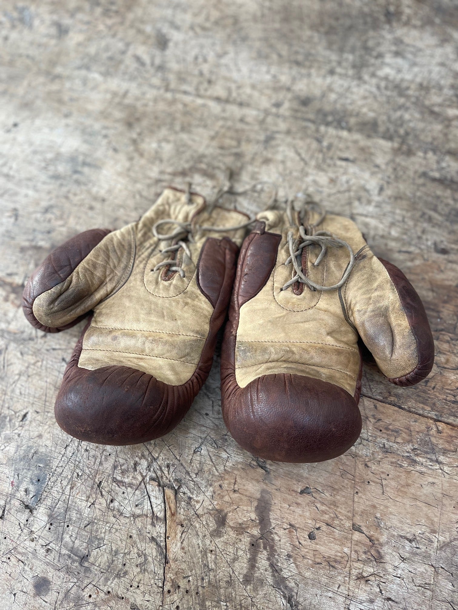 Vintage Boxing Gloves 